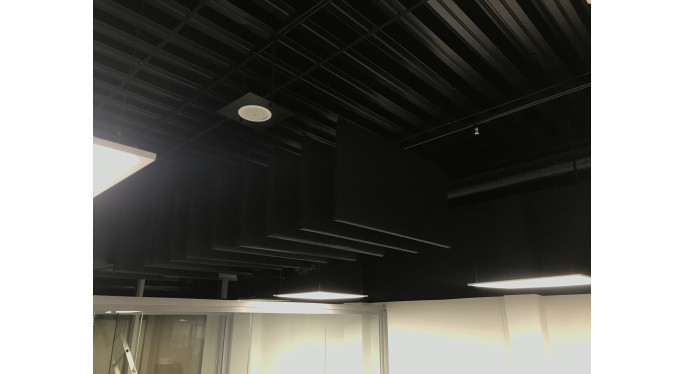 МаксФорте ЭКОАкустик Black