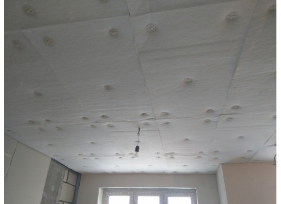 МаксФорте ЭКОАкустик