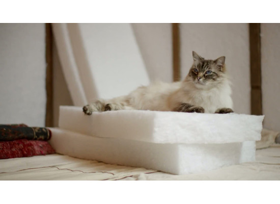 МаксФорте ЭКОАкустик