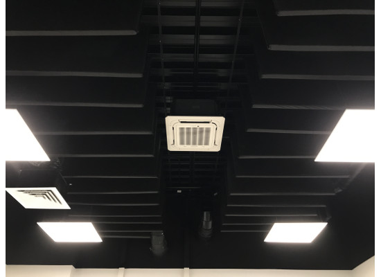 МаксФорте ЭКОАкустик