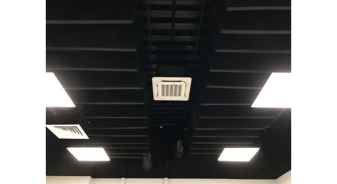 МаксФорте ЭКОАкустик