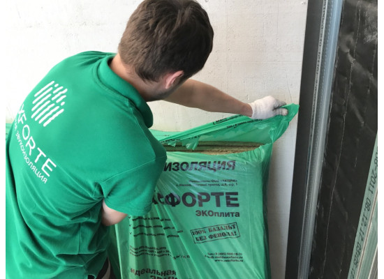 МаксФорте ЭКОплита